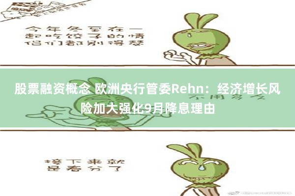 股票融资概念 欧洲央行管委Rehn：经济增长风险加大强化9月降息理由