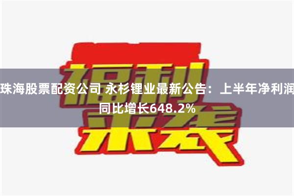 珠海股票配资公司 永杉锂业最新公告：上半年净利润同比增长648.2%