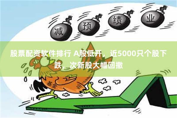 股票配资软件排行 A股低开，近5000只个股下跌，次新股大幅回撤