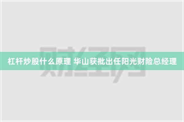 杠杆炒股什么原理 华山获批出任阳光财险总经理