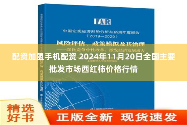 配资加盟手机配资 2024年11月20日全国主要批发市场西红柿价格行情