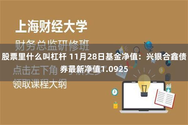 股票里什么叫杠杆 11月28日基金净值：兴银合鑫债券最新净值1.0925