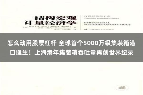 怎么动用股票杠杆 全球首个5000万级集装箱港口诞生！上海港年集装箱吞吐量再创世界纪录