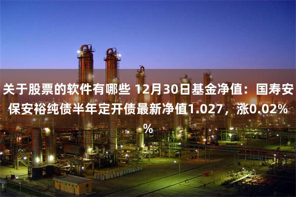 关于股票的软件有哪些 12月30日基金净值：国寿安保安裕纯债半年定开债最新净值1.027，涨0.02%