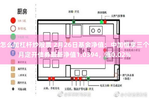 怎么加杠杆炒股票 2月26日基金净值：中加恒享三个月定开债券最新净值1.0394，涨0.02%